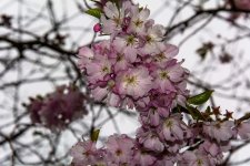 DSC_1854.jpg