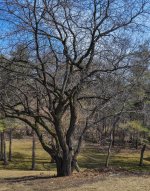 untitled shoot-0058.jpg