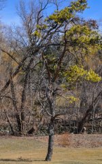 untitled shoot-0056.jpg
