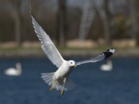 DSC_2398.jpg
