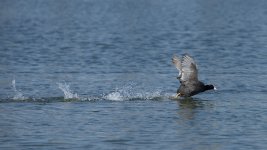 DSC_2349.jpg