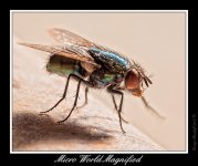 _DSC_6063_Web.jpg