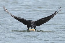 DSC_2662.jpg