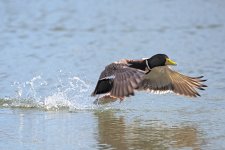 DSC_2644.jpg