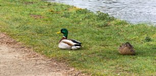 DSC_1859.jpg