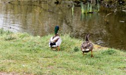 DSC_1861.jpg