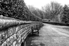 DSC_1855-Edit-Edit.jpg
