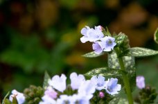 DSC_1834.jpg
