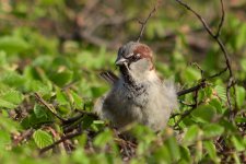 DSC_2625.jpg