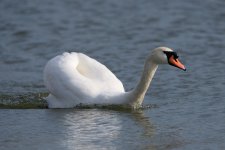 DSC_2652.jpg