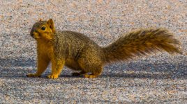 DSC_3892.jpg