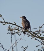 DSC_8193.jpg