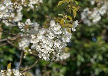 DSC_8173.jpg