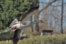 DSC_8104.jpg