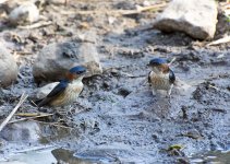 DSC_1135.jpg