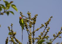 DSC_1198.jpg