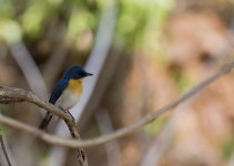 DSC_1231.jpg