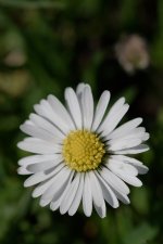 _DSC3037.jpg