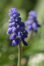 _DSC3094.jpg