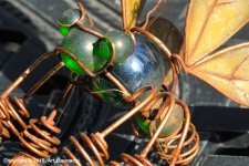 DRAGONFLY.jpg
