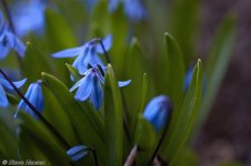 DSC_1529.jpg