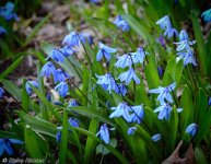 DSC_8849-1.jpg