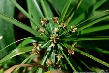 FSC_8708.jpg