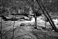DSC02413.jpg