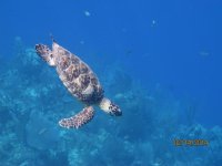 IMG_1164.jpg