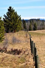 Mountain Fence web copy.jpg
