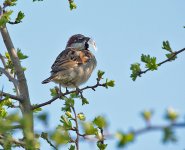 DSC_8277.jpg