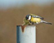 DSC_8330.jpg