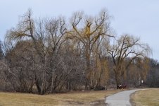 untitled shoot-0208.jpg