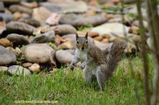_DSC8273.jpg