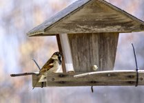 _DSC6657web.jpg