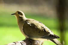 _DSC6666web.jpg