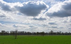 _DSC3471.jpg
