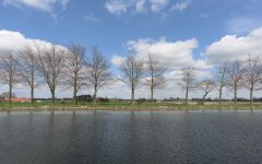 _DSC3463-1.jpg