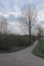 _DSC3476.jpg