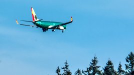 DSC_2312.jpg