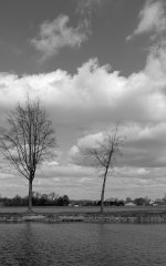 _DSC3480.jpg