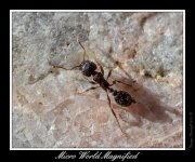 _DSC_7364_Web.jpg