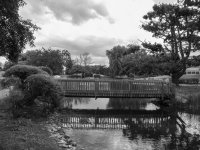 untitled shoot-0054-2.jpg