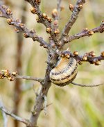 DSC_8433.jpg