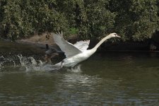 DSC_8454.jpg