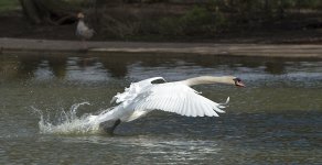 DSC_8468.jpg