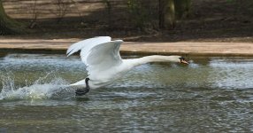DSC_8470.jpg