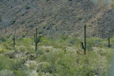 DSC_4341.jpg