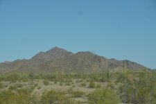 DSC_4354.jpg