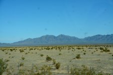DSC_4398.jpg